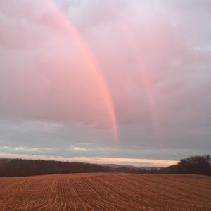 Meet your Posher, Alana